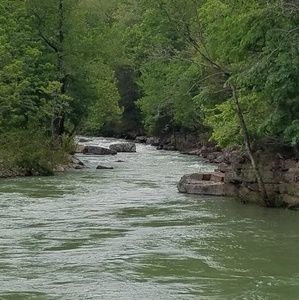 Meet your Posher, Lynne